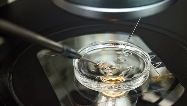 Kingwood IVF in the lab